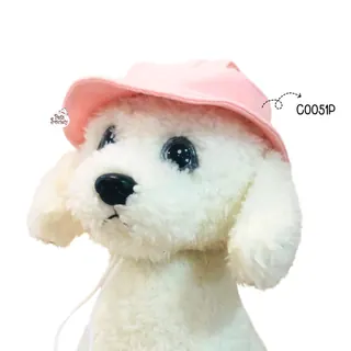 C0051P.jpg