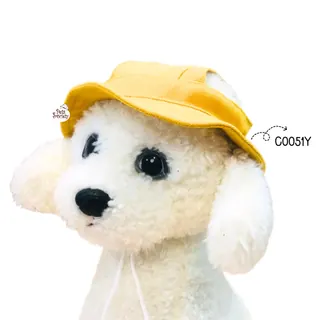 C0051Y.jpg