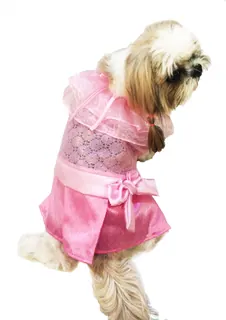 Thai pink dress with model.jpg